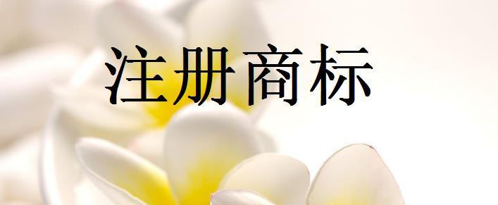 商标注册前需要注意哪些问题？