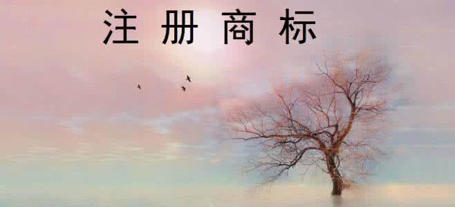 企业申请特殊标志商标都需要哪些资料？