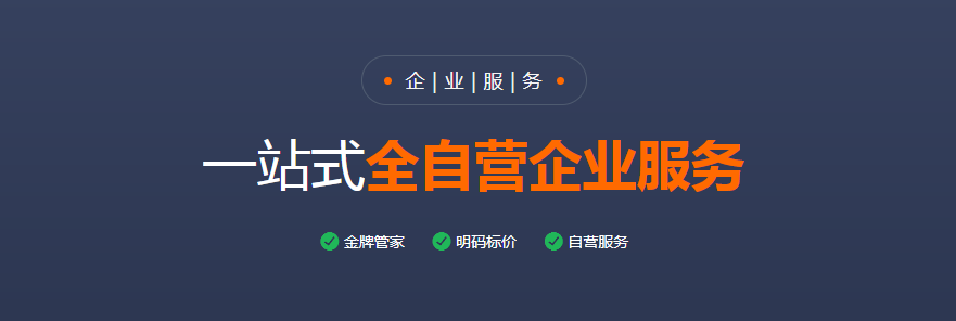 股东出资比例与分配填写